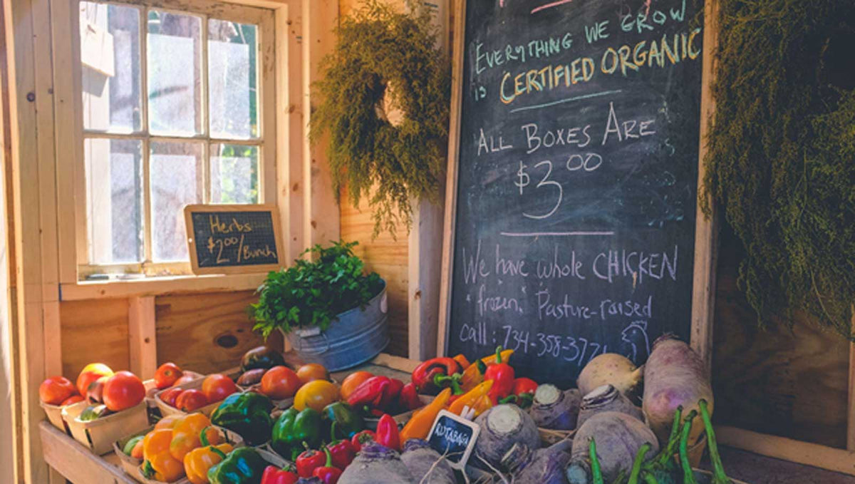 Everything You Need to Know About Organic Food