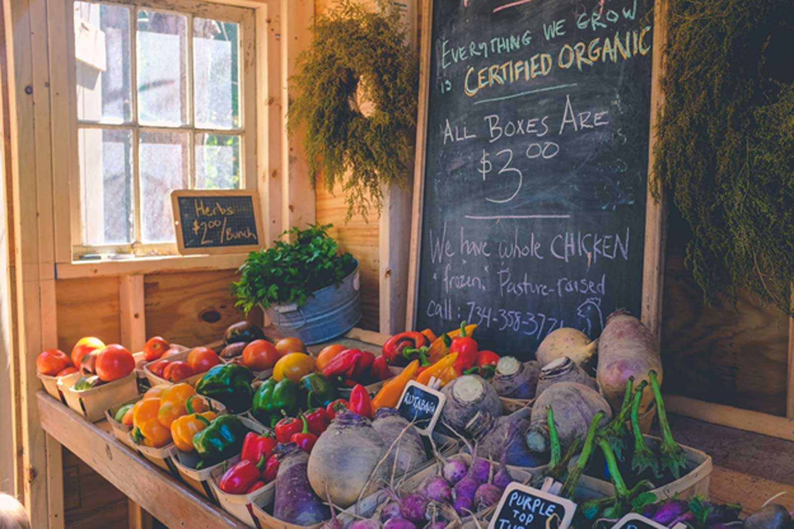 Everything You Need to Know About Organic Food